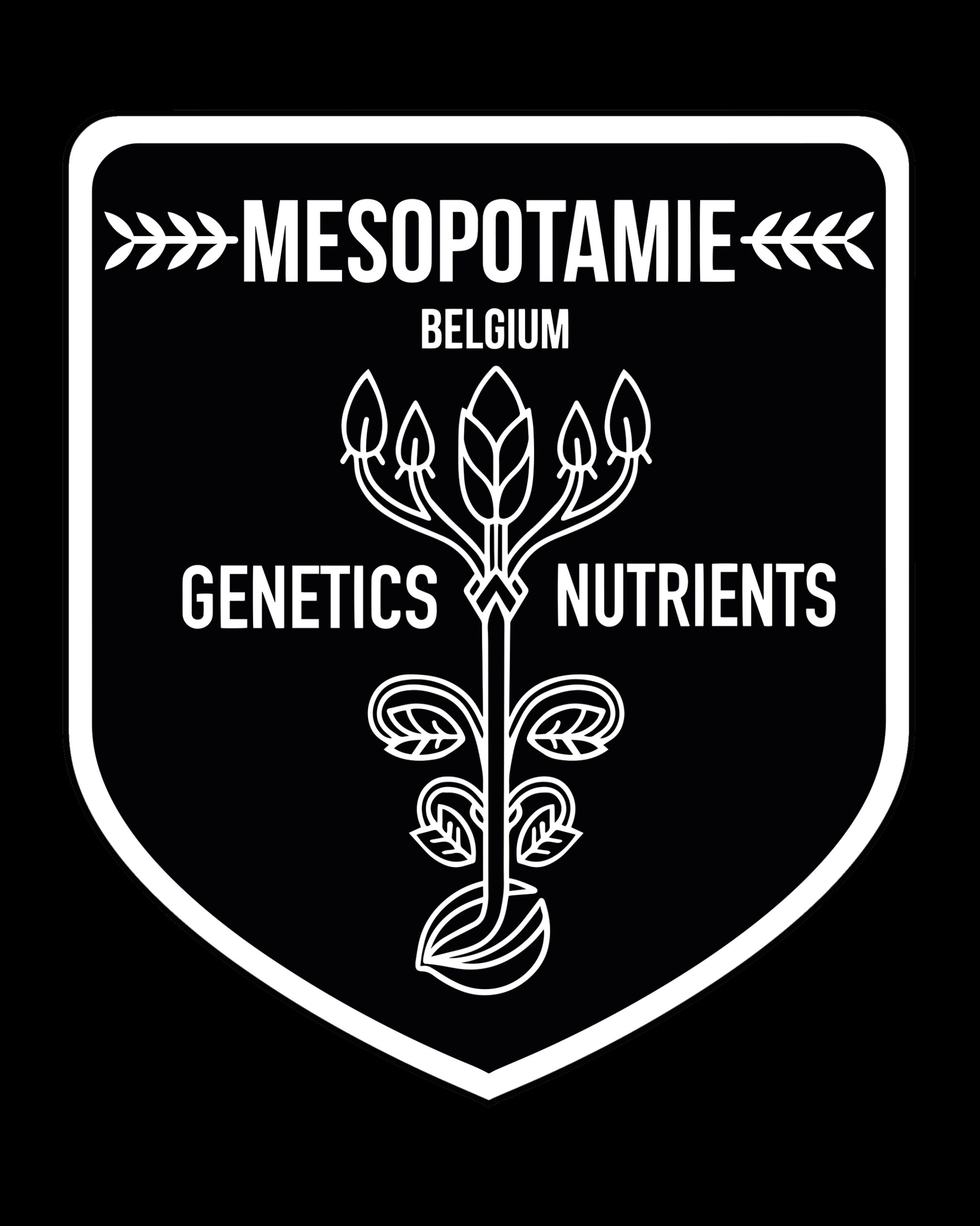 Mesopotamie